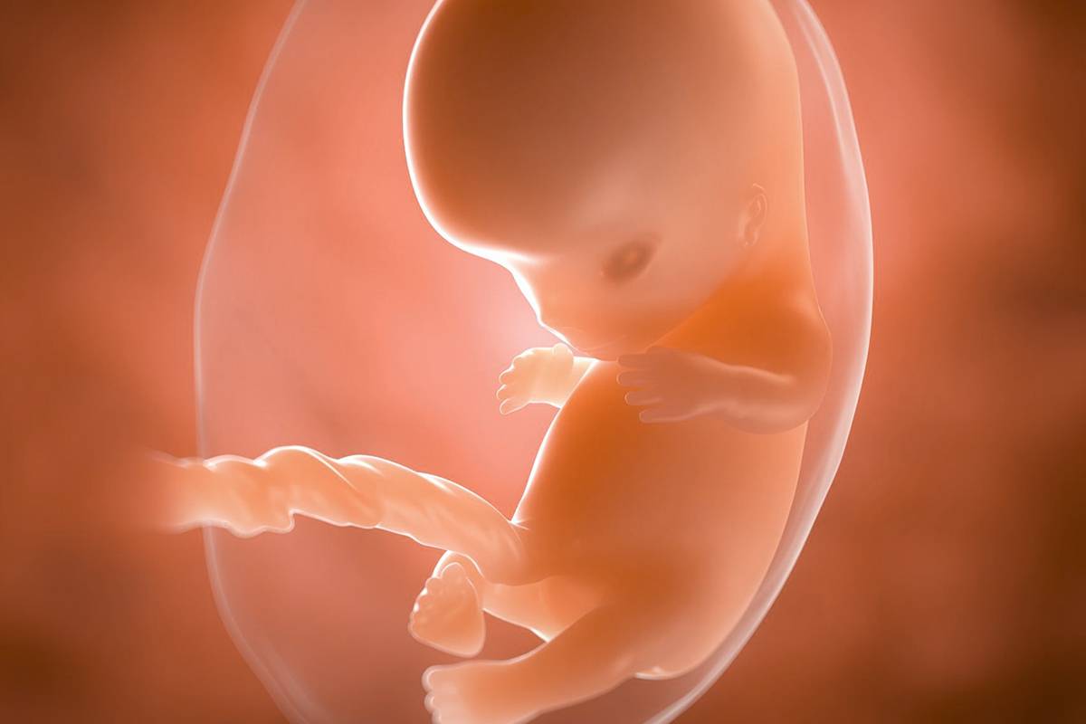 semana 9 de embarazo, blog mimuselina feto como aceituna