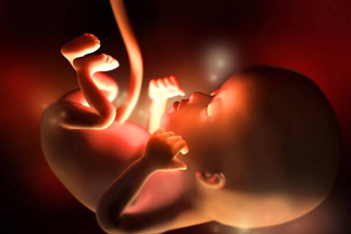 semana 12 del embarazo tamaño del feto como una ciruela