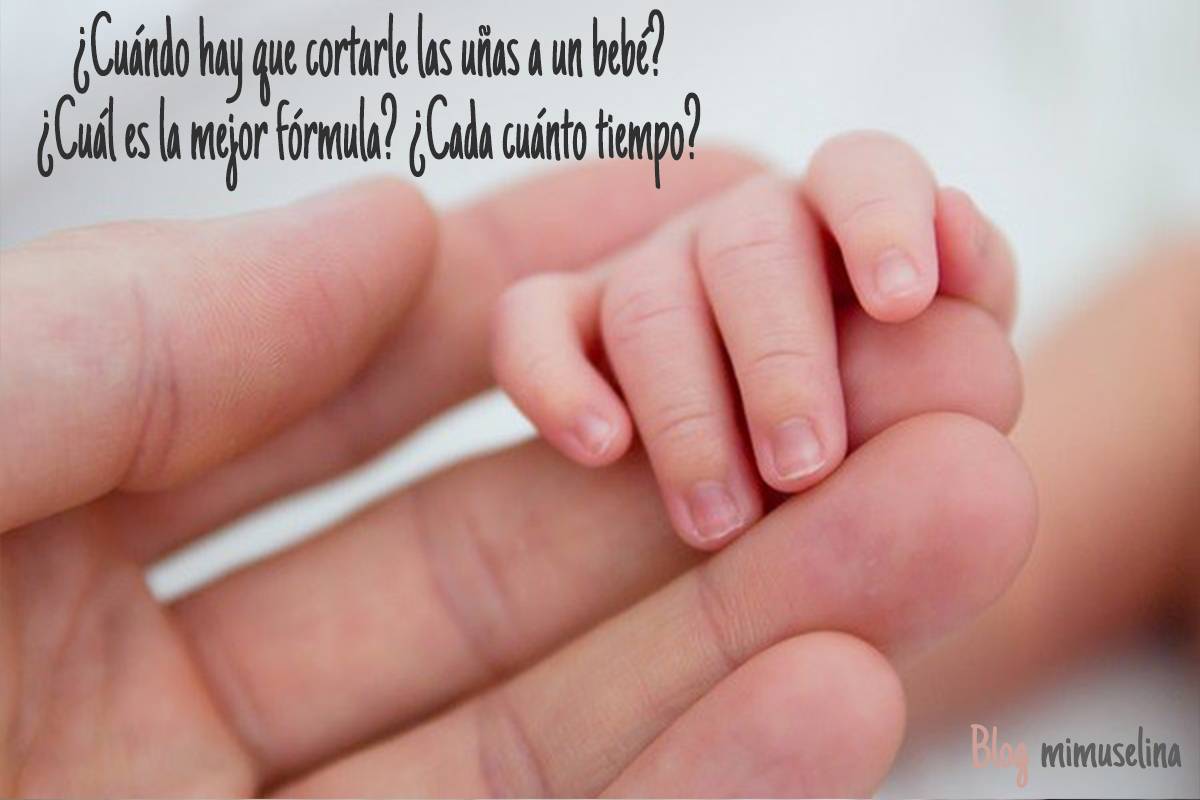 Marysol Flores PHOTOGRAPHY  Sabes cómo cortar las uñas de tu bebé recién  nacido Aquí te dejo unos tips que te pueden ayudar esas primeras veces  que le cortas las uñitas a
