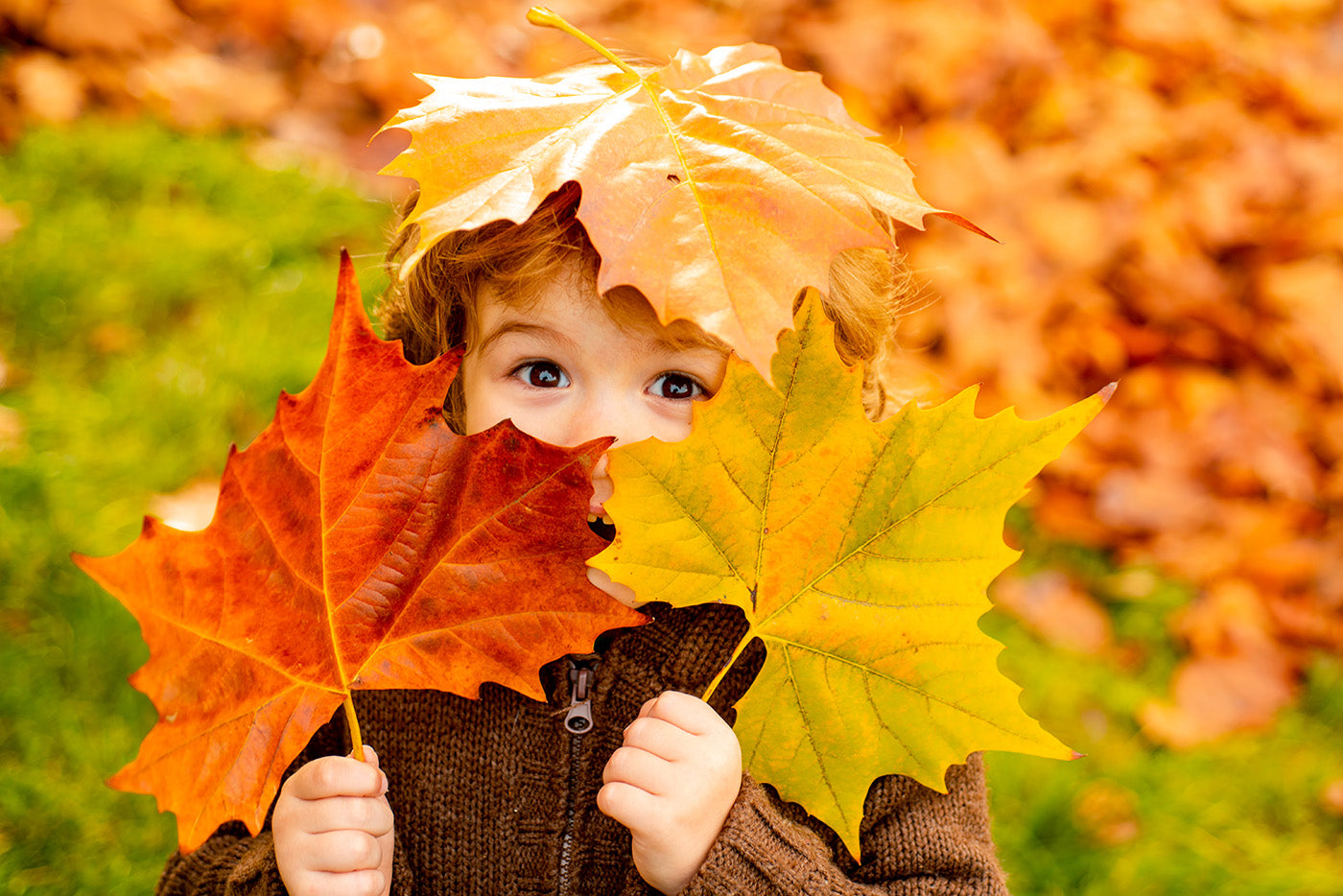 actividades-sensoriales-otoño-con-niños-mimuselina