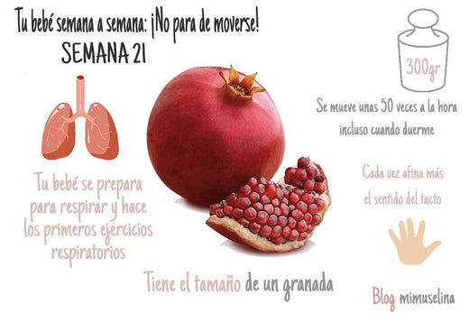 Semana 21 embarazo blog mimuselina