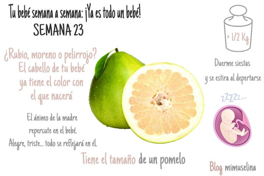 semana 23 de embarazo blog mimuselina semana a semana