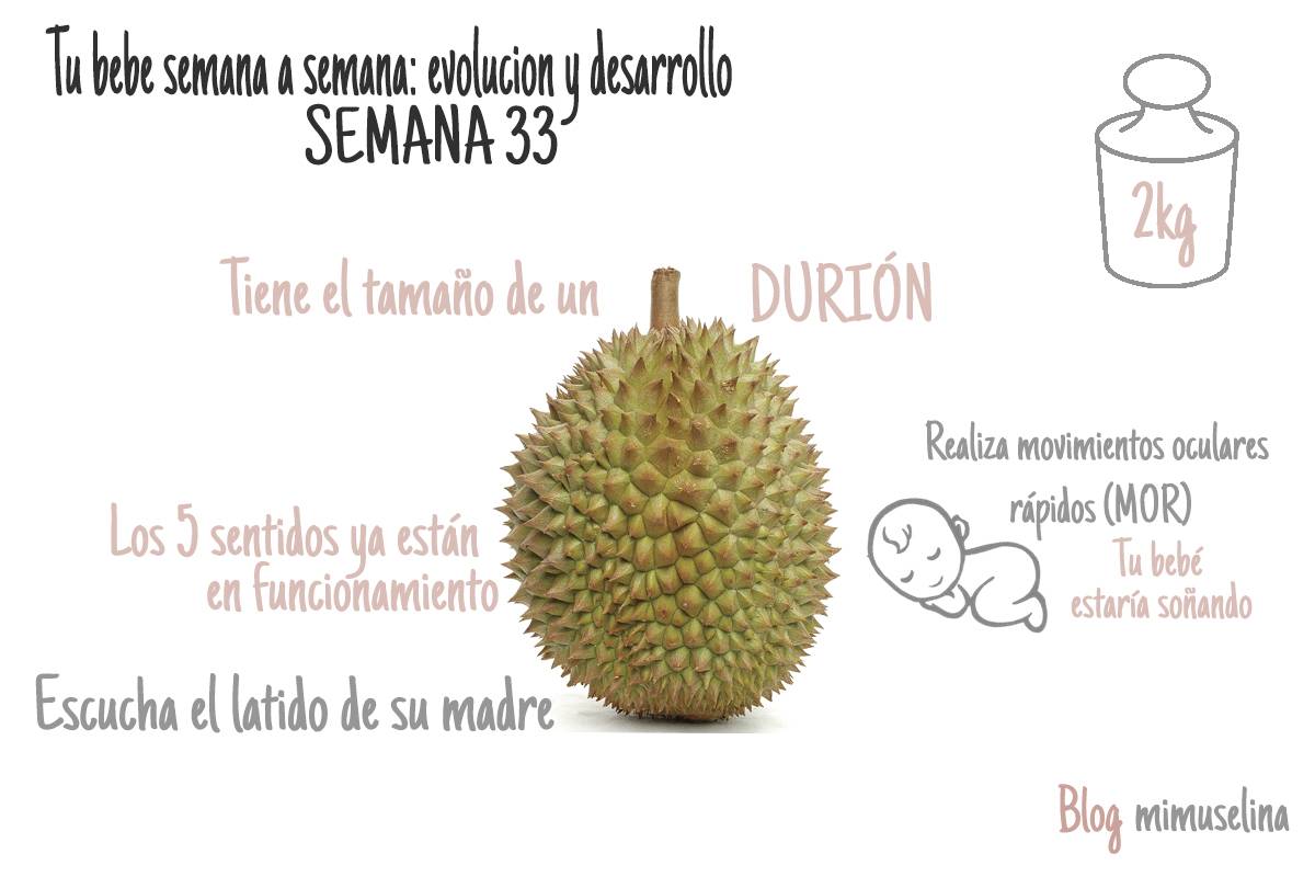 Semana 33 de embarazo. Tamaño y evolución del bebé @Mimuselina