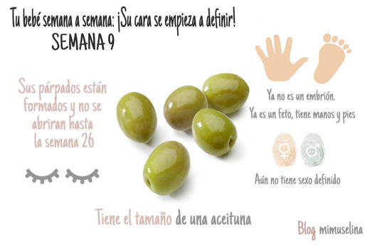 semana 9 embarazo semana a semana blog mimuselina, bebé como una aceituna