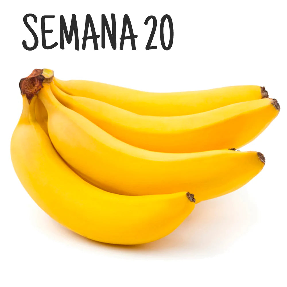 Ilustración de un racimo de plátanos, representando el tamaño del embrión en la semana 20 de embarazo.