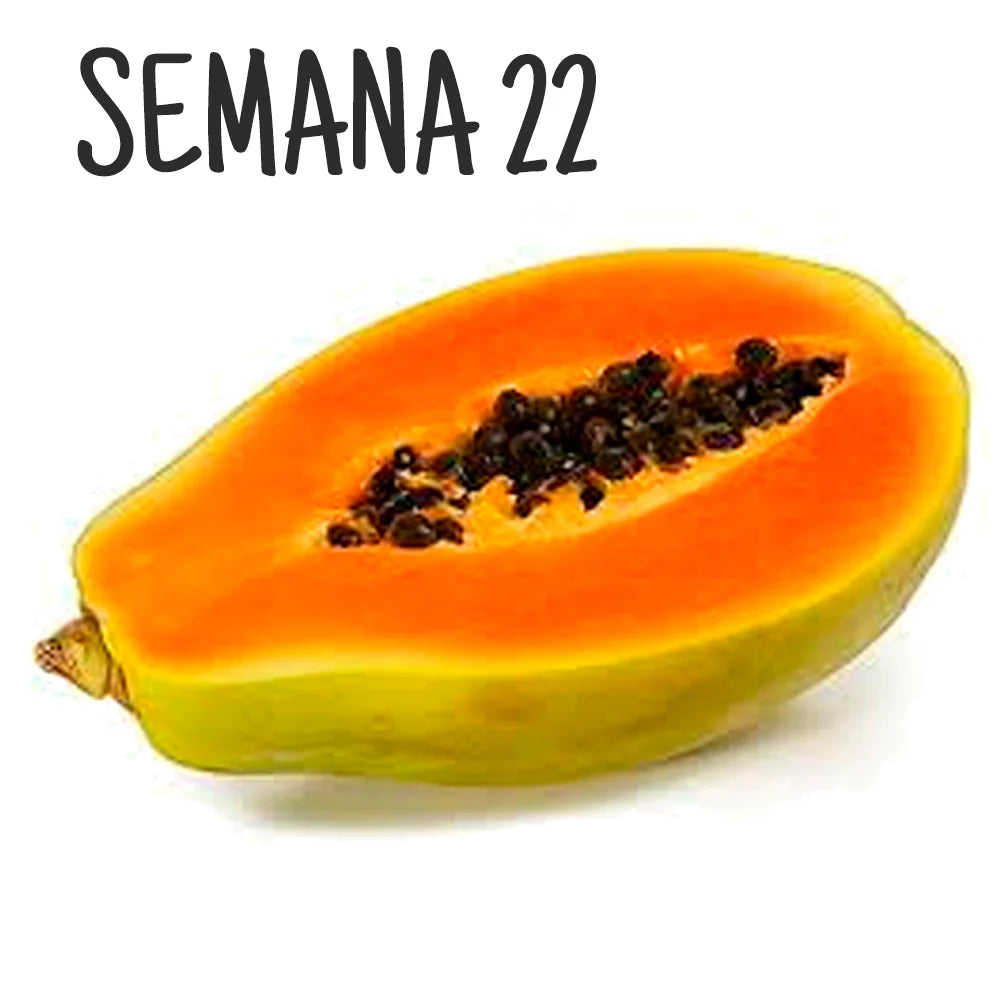 Ilustración de una papaya partida por la mitad con semillas, representando el tamaño del embrión en la semana 22 de embarazo.